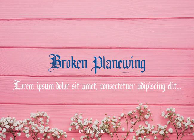 Broken Planewing example